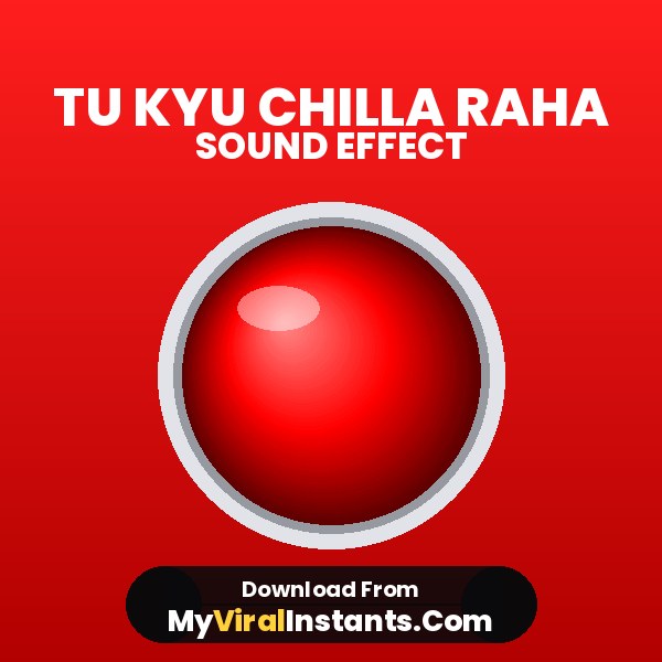 Tu Kyu Chilla Raha sound effect cover